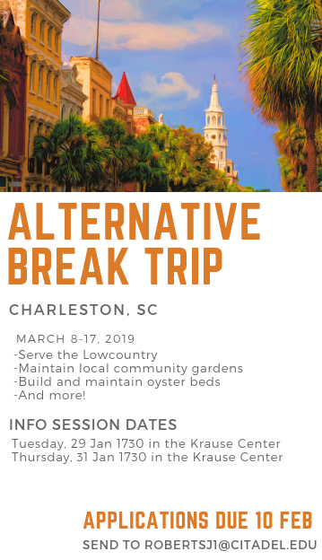 alternative break trip Charleston, SC